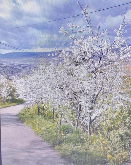 Mujo Hotell Sarajevo Eksteriør bilde